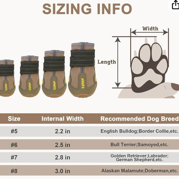 Size 6 Dog Shoes!! - Picture 7 of 12
